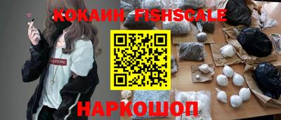 гашик Дубна