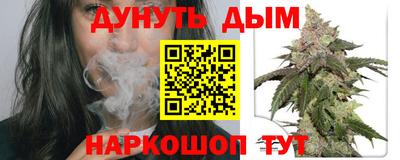 гашик Дубна