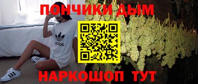 гашик Дубна
